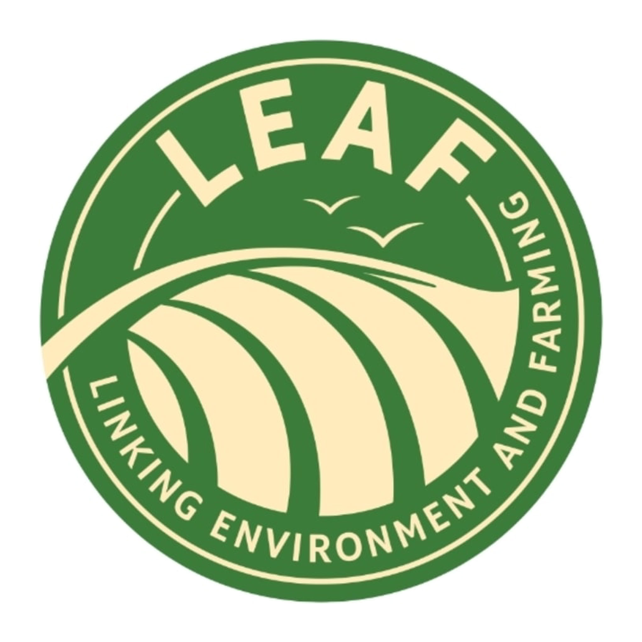 leaf.jpg